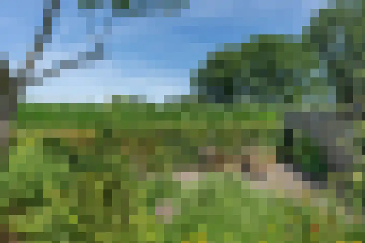 Kerkeind 18 Gemonde thumbnail 39