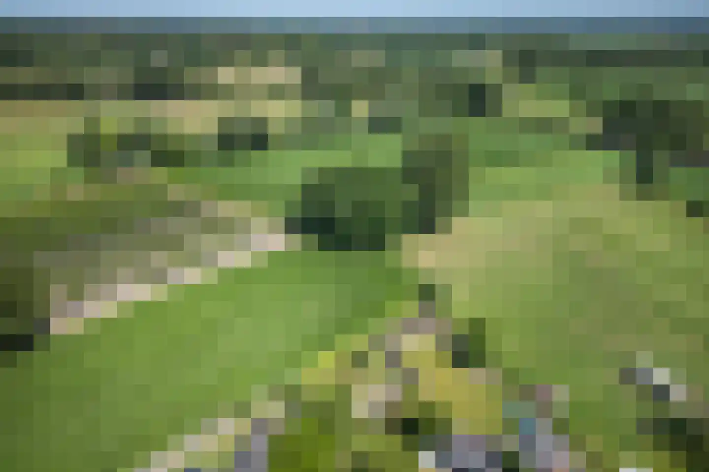 Kerkeind 18 Gemonde thumbnail 44