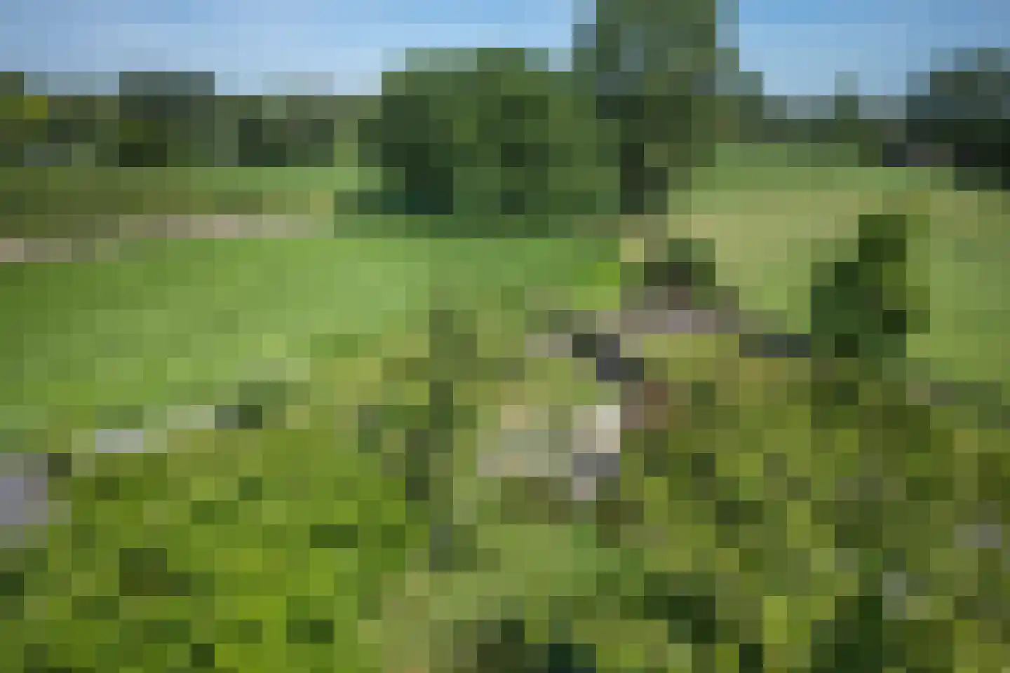 Kerkeind 18 Gemonde thumbnail 45