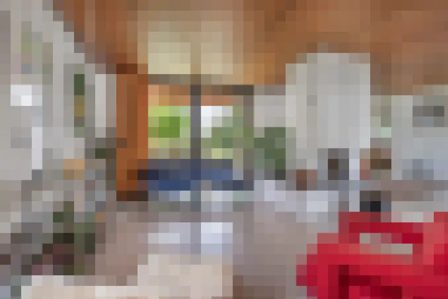 Kerkeind 18 Gemonde thumbnail 6