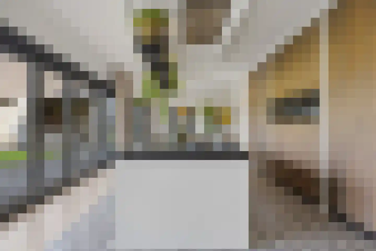 Kerkeind 20 Gemonde thumbnail 26