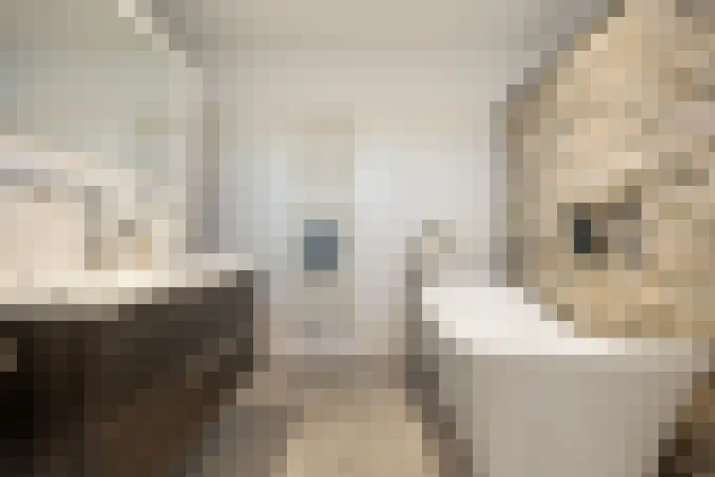 Kerkeind 20 Gemonde thumbnail 37