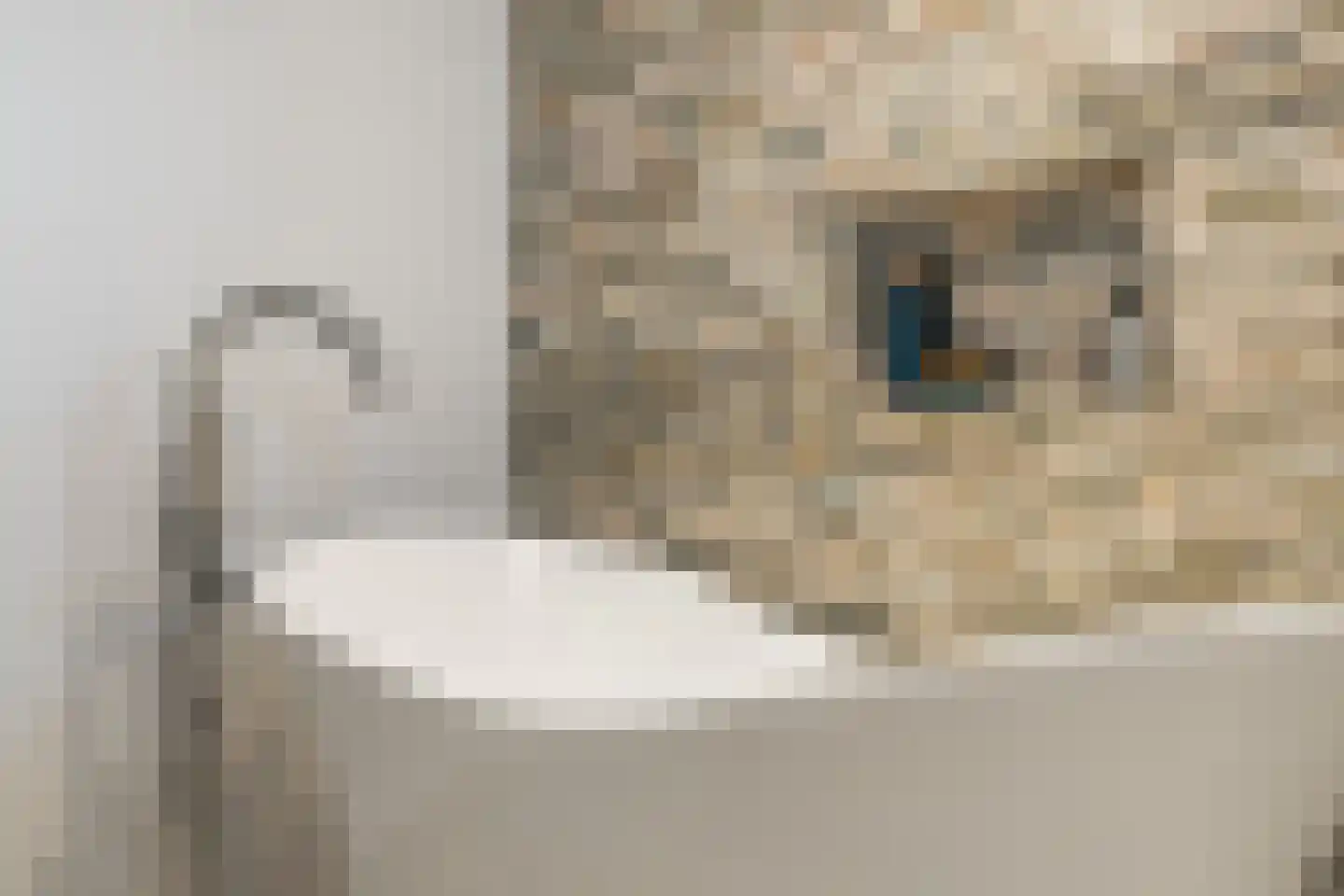 Kerkeind 20 Gemonde thumbnail 40