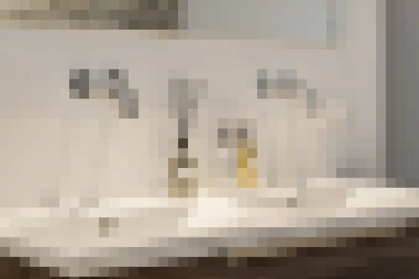 Kerkeind 20 Gemonde thumbnail 41