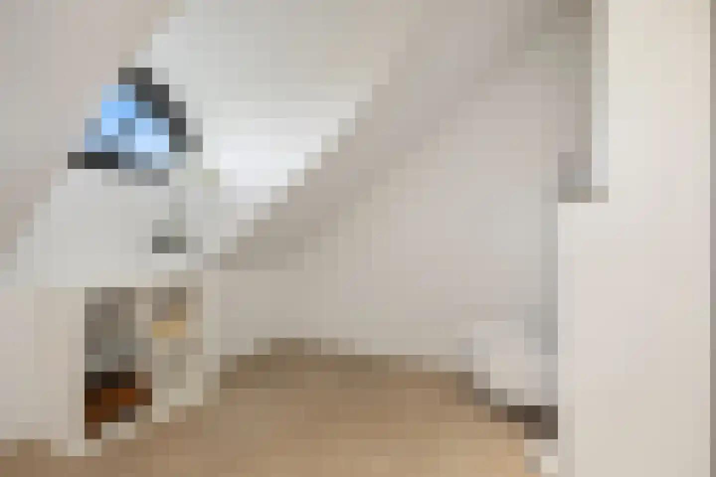 Kerkeind 20 Gemonde thumbnail 62