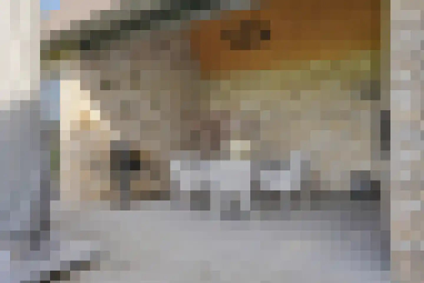 Kerkeind 20 Gemonde thumbnail 72