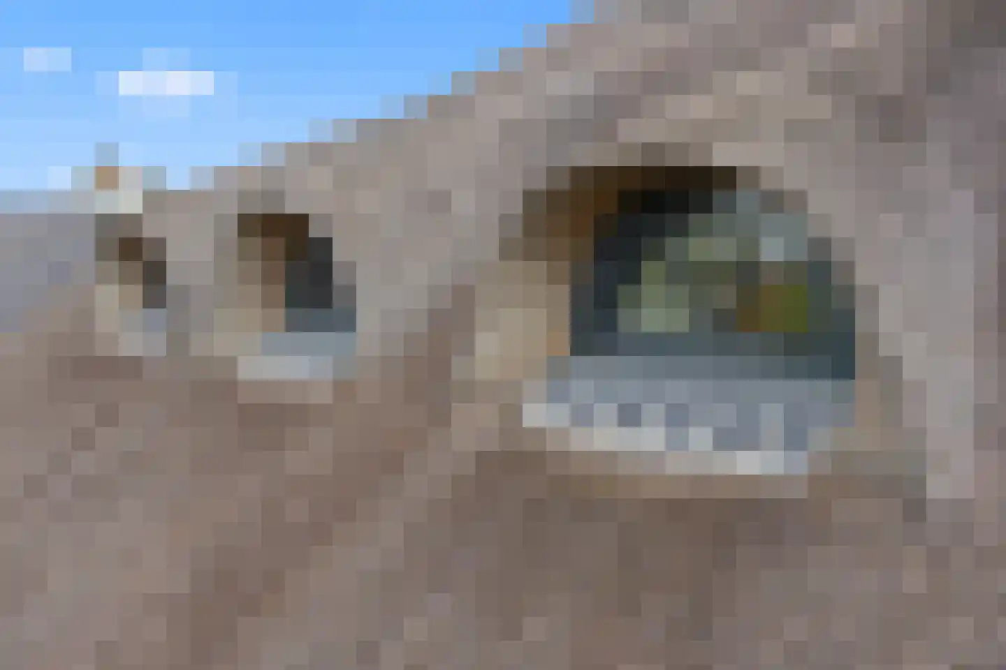 Kerkeind 20 Gemonde thumbnail 76