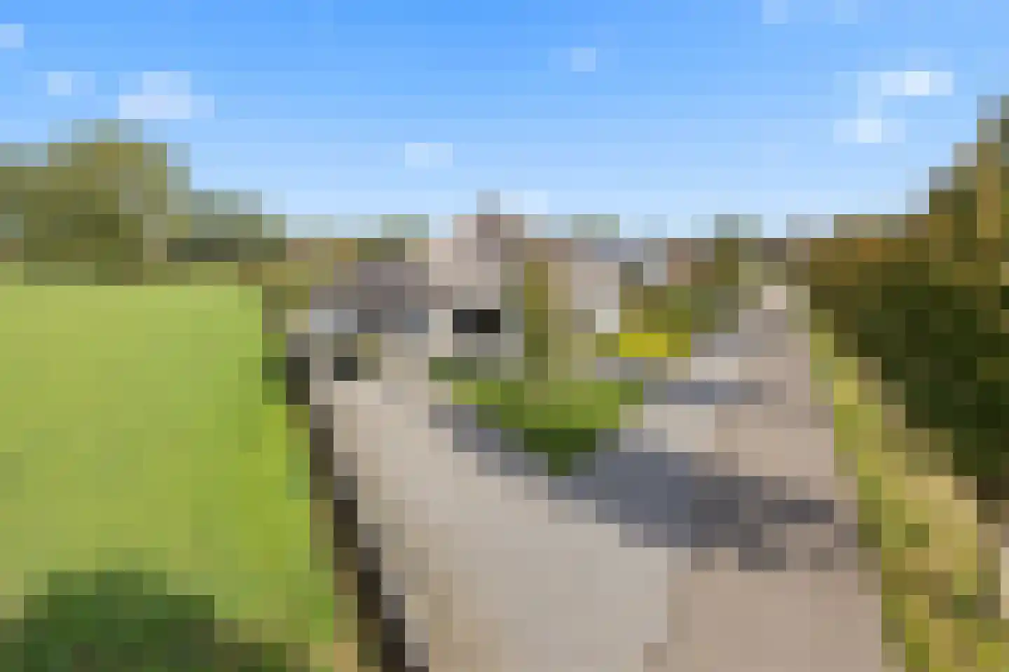 Kerkeind 20 Gemonde thumbnail 86