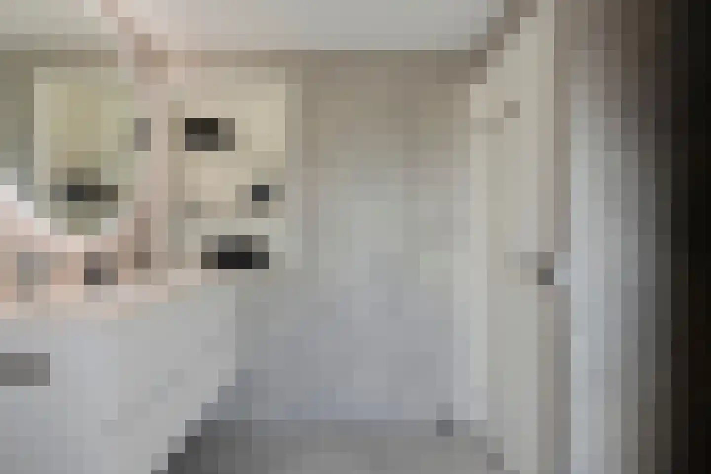 Kerkeind 30 Milheeze thumbnail 18
