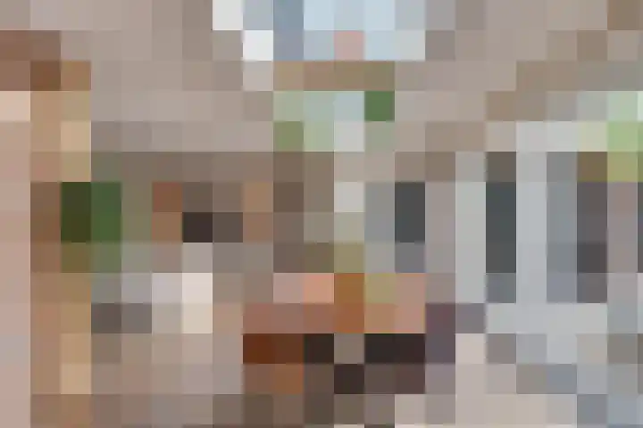 Kerkeind 65 Milheeze thumbnail 23
