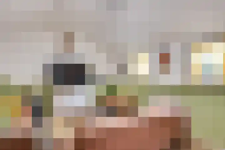 Kerkeind 65 Milheeze thumbnail 44