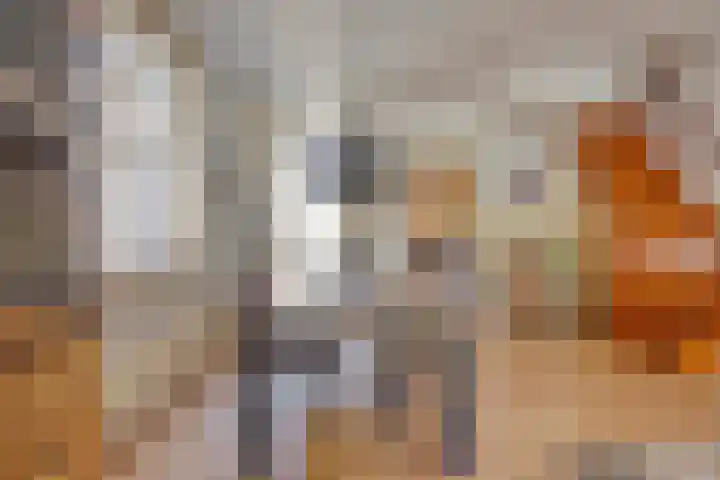 Kerkeind 8 Gemonde thumbnail 12