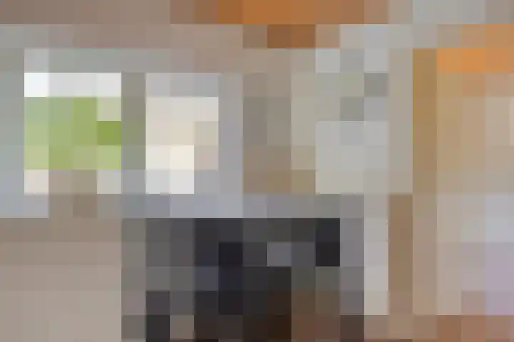 Kerkeind 8 Gemonde thumbnail 16