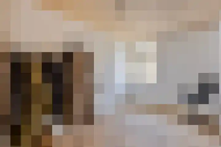 Kerkeind 8 Gemonde thumbnail 25