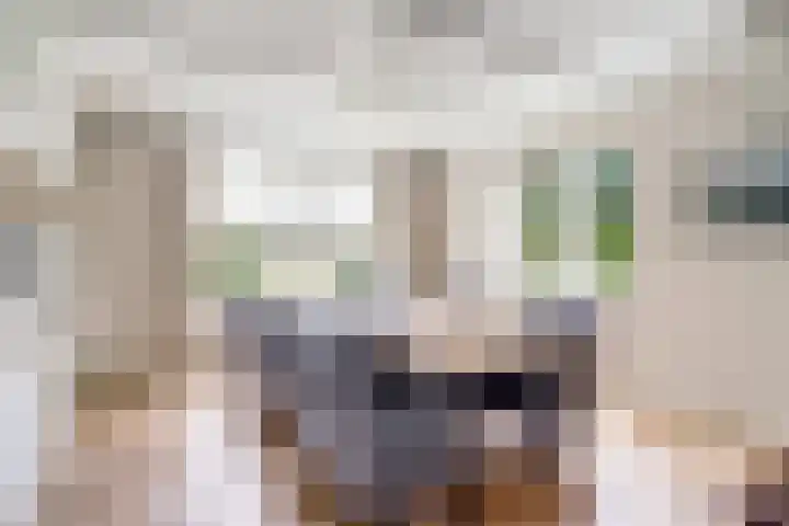 Kerkeinde 14 Sleeuwijk thumbnail 24