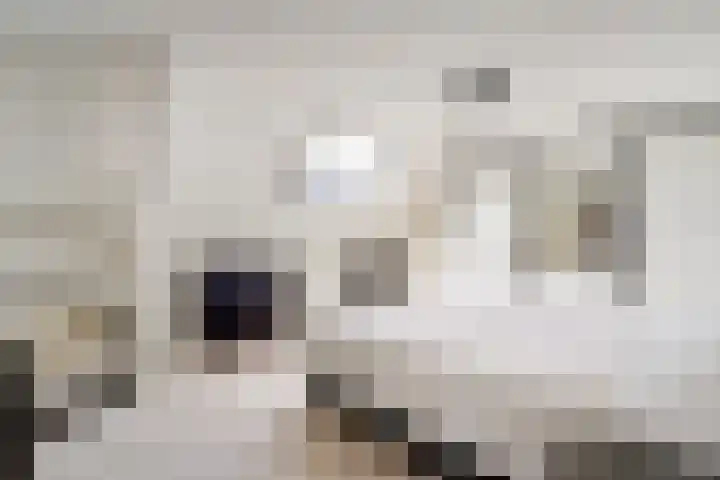Kerkeinde 14 Sleeuwijk thumbnail 39