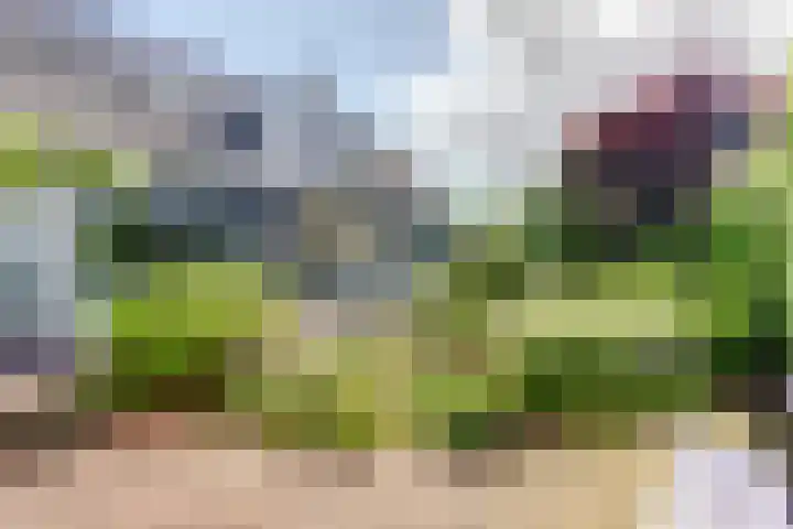 Kerkeinde 14 Sleeuwijk thumbnail 48
