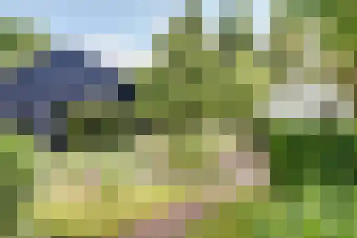Kerkeinde 14 Sleeuwijk thumbnail 55