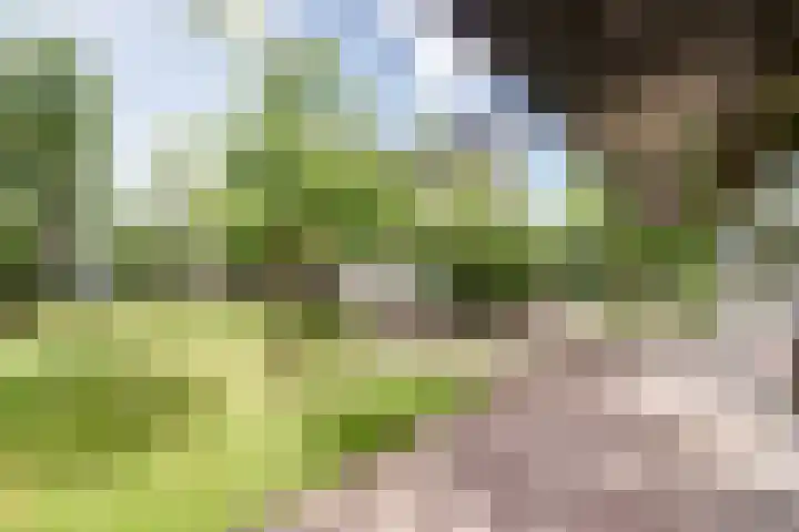 Kerkeinde 14 Sleeuwijk thumbnail 57