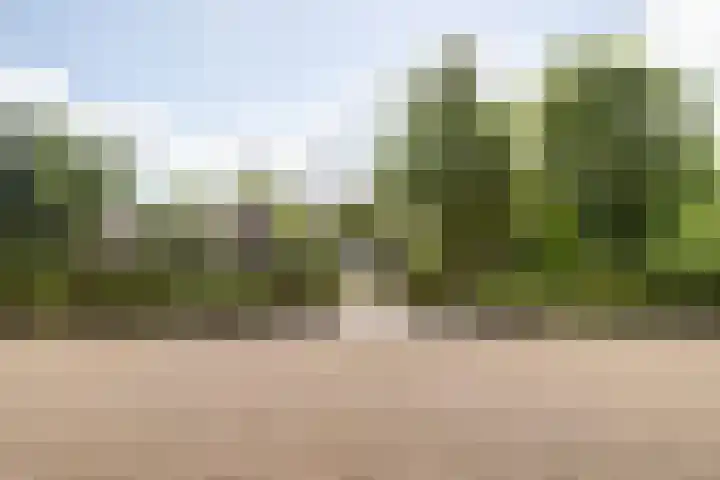 Kerkeinde 14 Sleeuwijk thumbnail 58