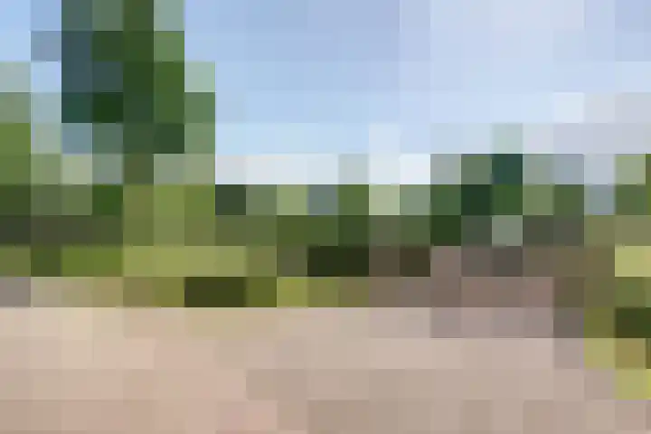 Kerkeinde 14 Sleeuwijk thumbnail 59