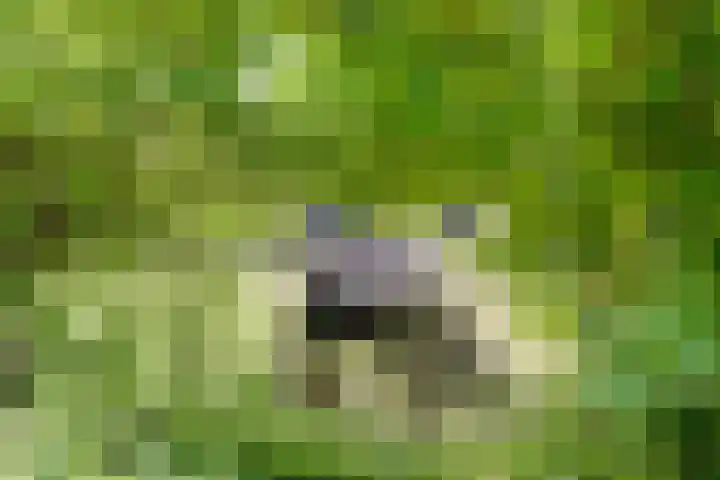 Kerkeinde 14 Sleeuwijk thumbnail 61