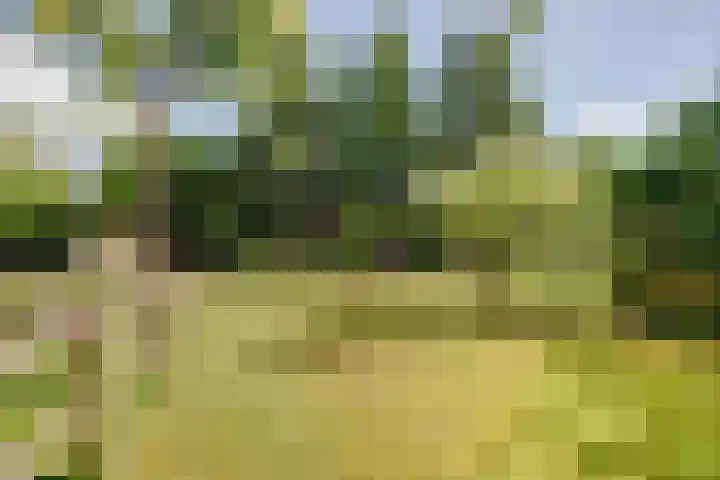 Kerkeinde 14 Sleeuwijk thumbnail 64