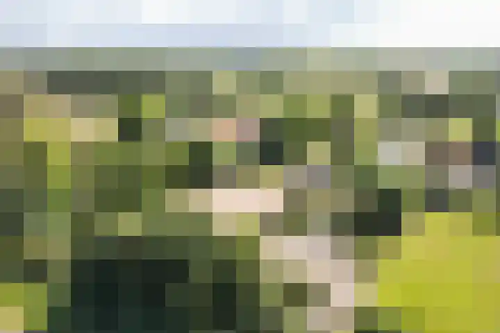 Kerkeinde 14 Sleeuwijk thumbnail 66