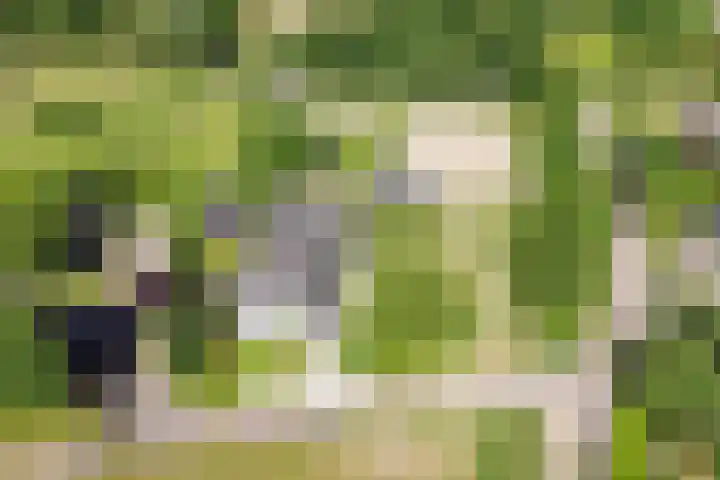 Kerkeinde 14 Sleeuwijk thumbnail 73
