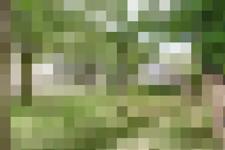 Kerkeinde 14 Sleeuwijk thumbnail 8