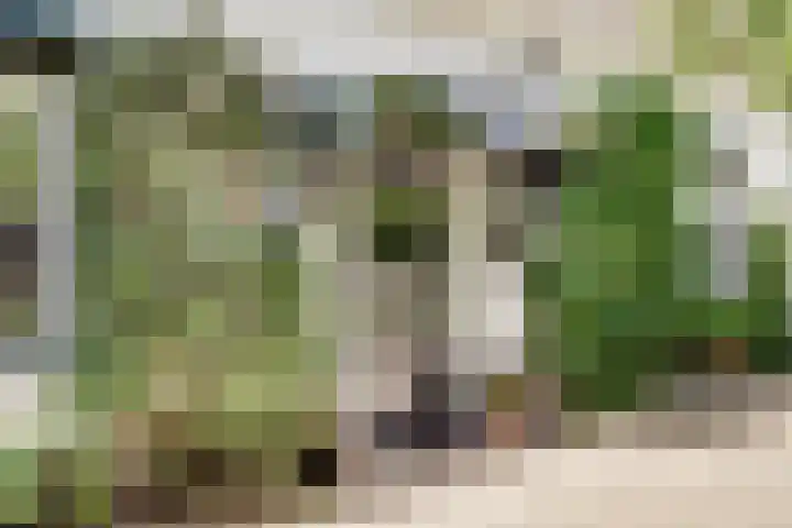 Kerkeinde 14 Sleeuwijk thumbnail 9