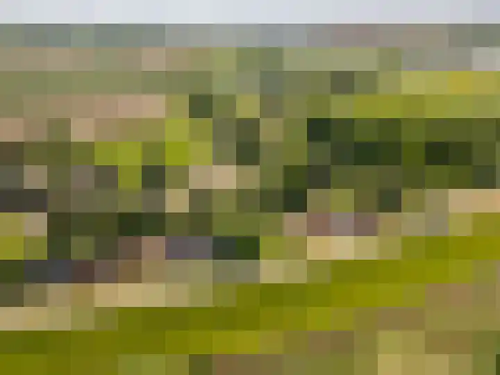 Kerkeinde 16 Sleeuwijk thumbnail 27