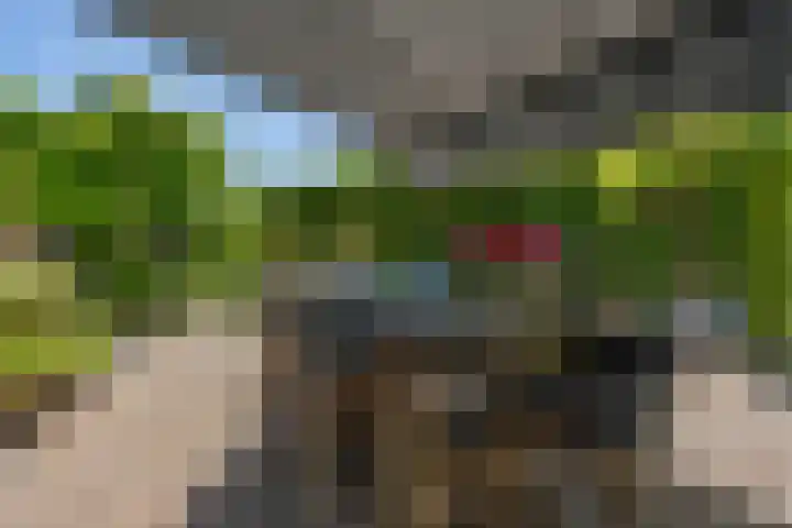 Kerkeinde 16 Sleeuwijk thumbnail 29