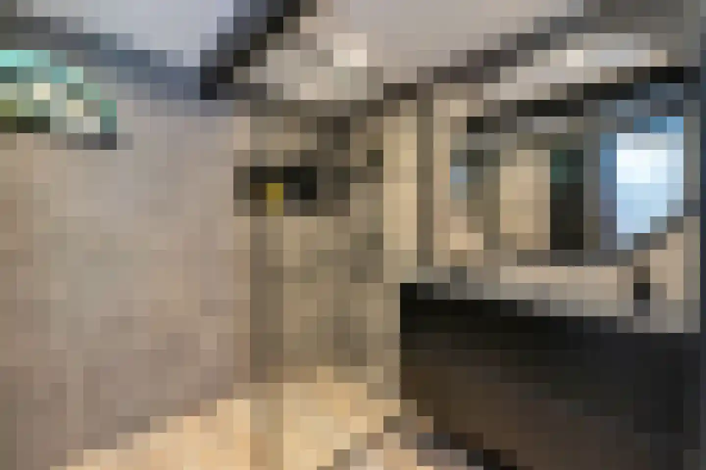 Kerkeinde 47 Sleeuwijk thumbnail 31