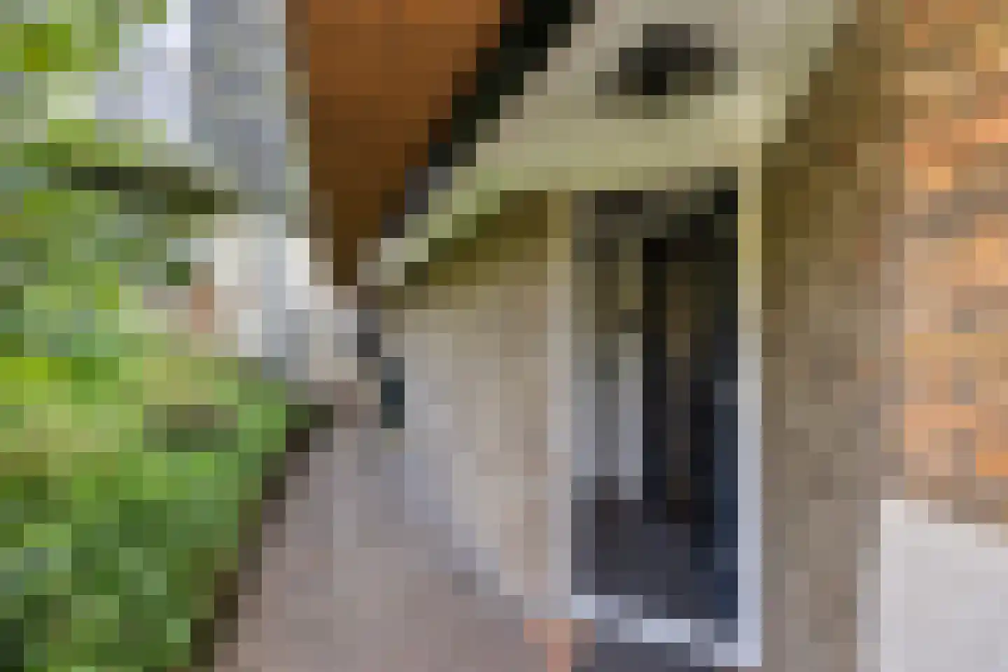 Kerkeinde 47 Sleeuwijk thumbnail 34