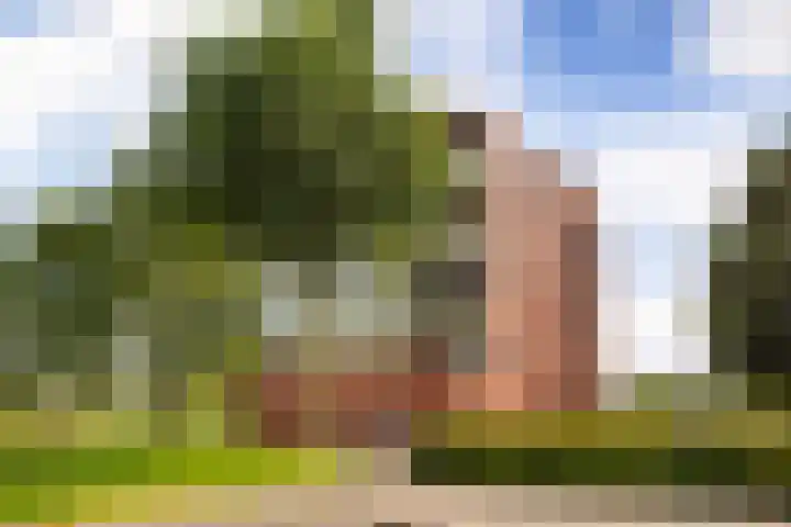Kerkeindsepolder 5 De Meern thumbnail 28