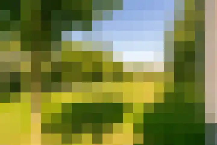 Kerkeindsepolder 5 De Meern thumbnail 30