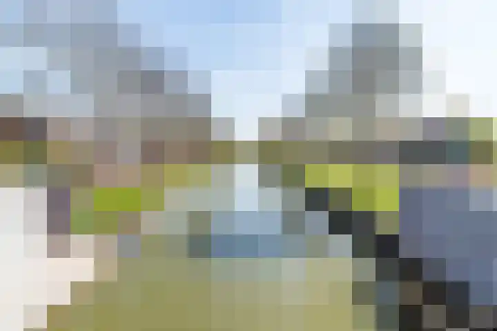 Kerkeindsepolder 5 De Meern thumbnail 33