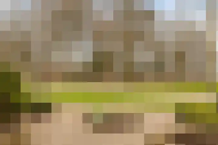 Kerkekamp 43 Hengelo (Gld) thumbnail 5