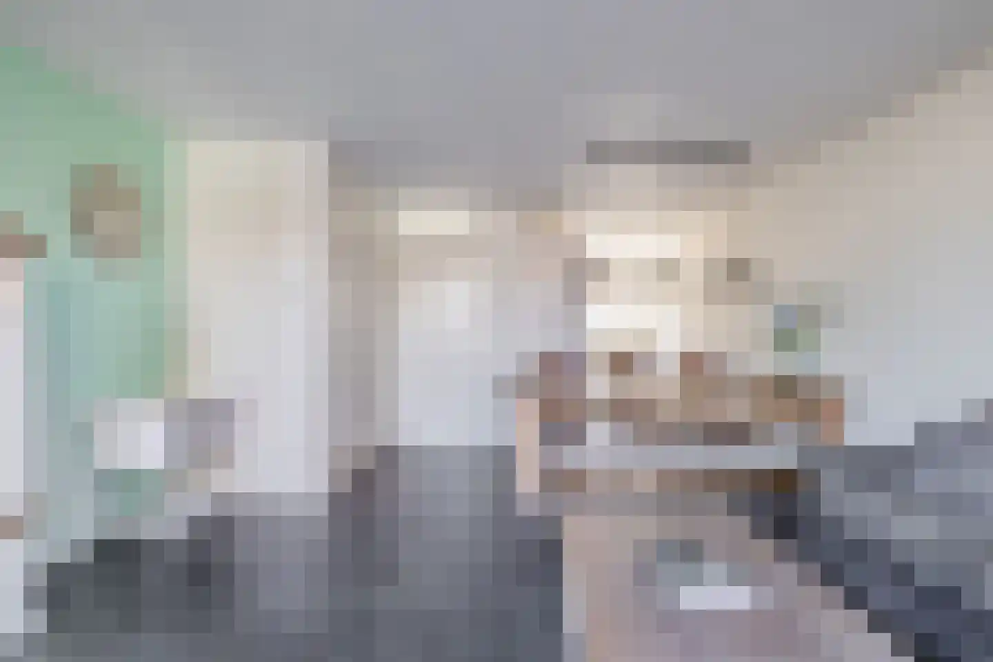 Kerkekkers 2 B Hulsel thumbnail 15