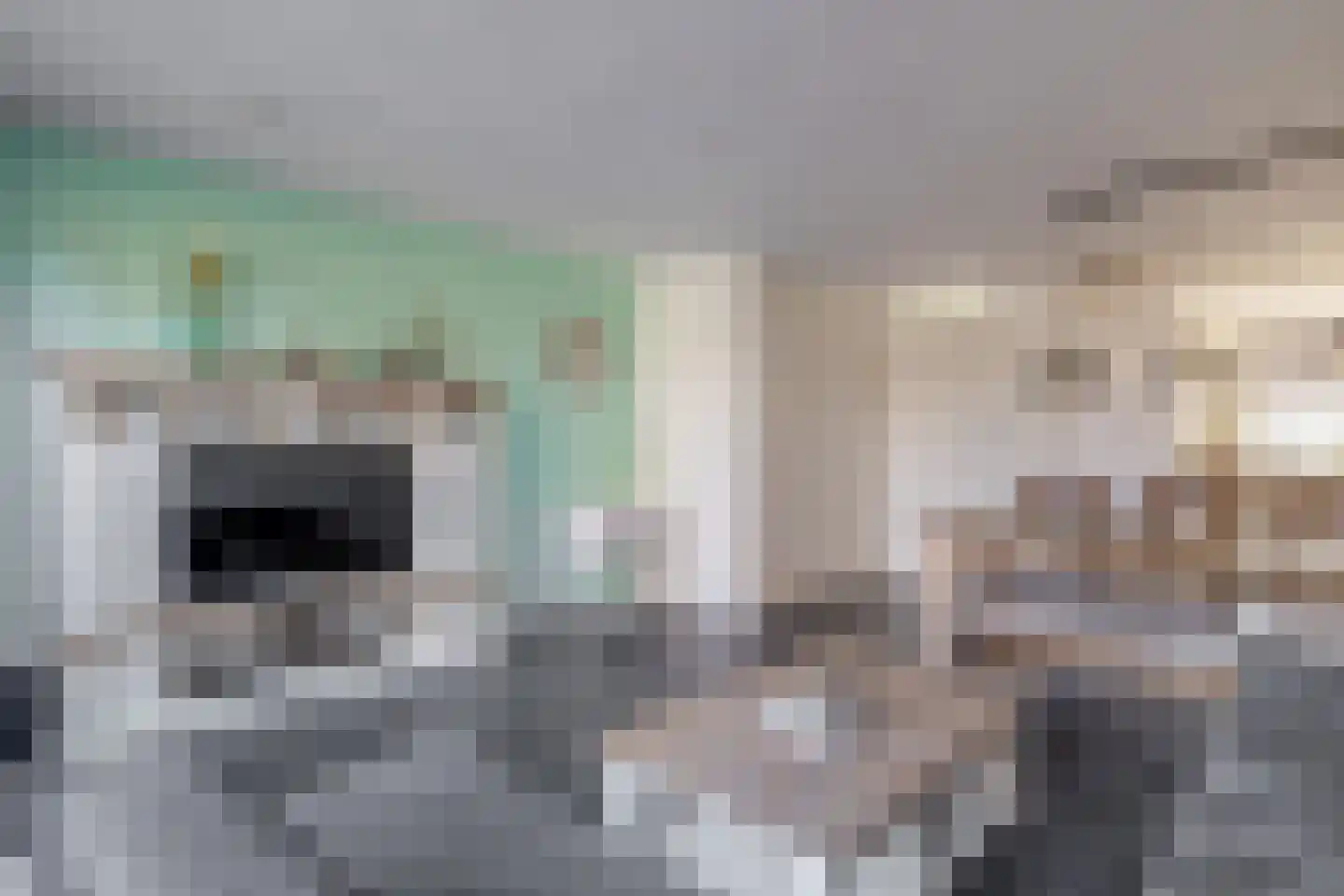 Kerkekkers 2 B Hulsel thumbnail 16