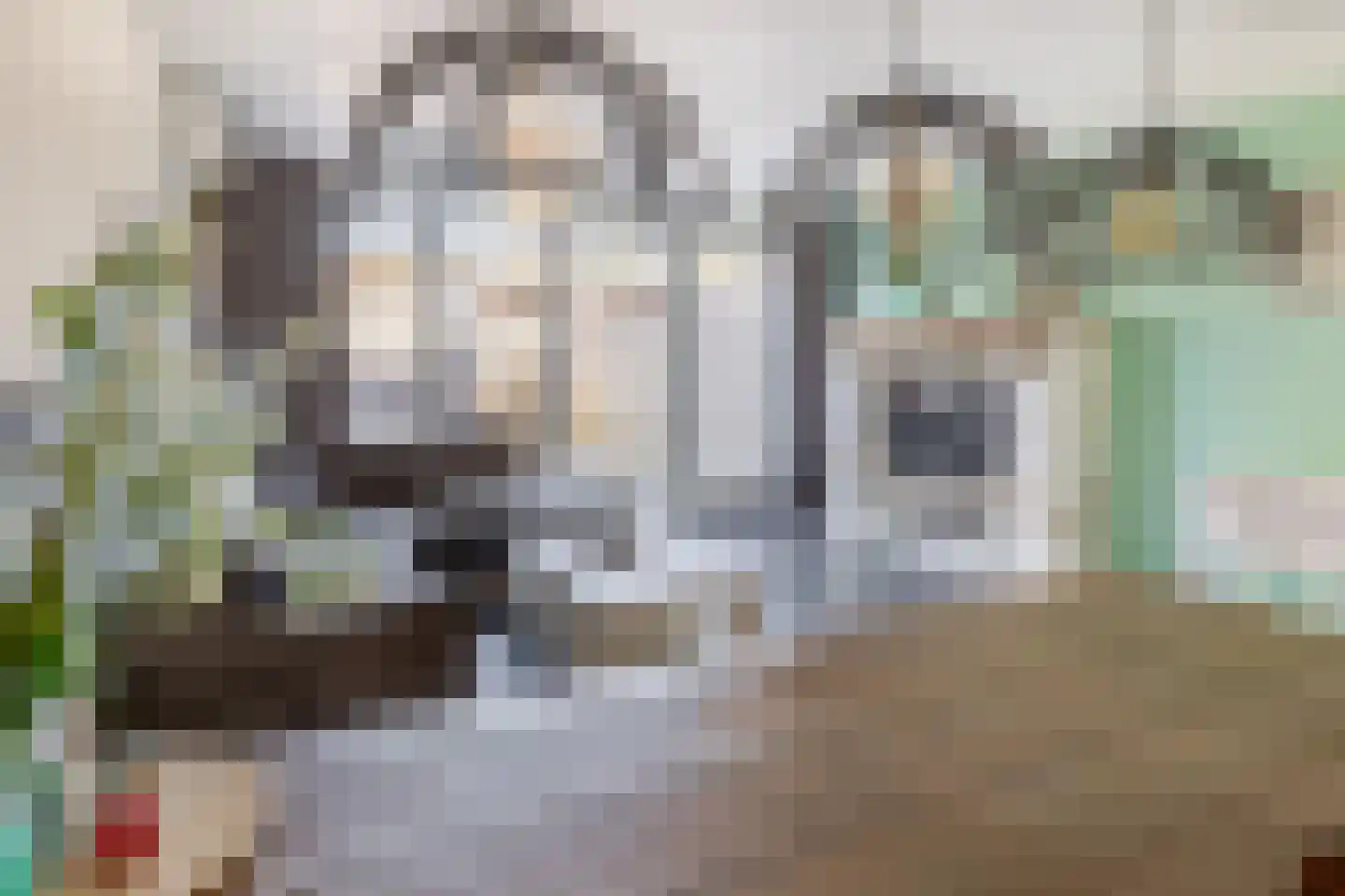 Kerkekkers 2 B Hulsel thumbnail 17