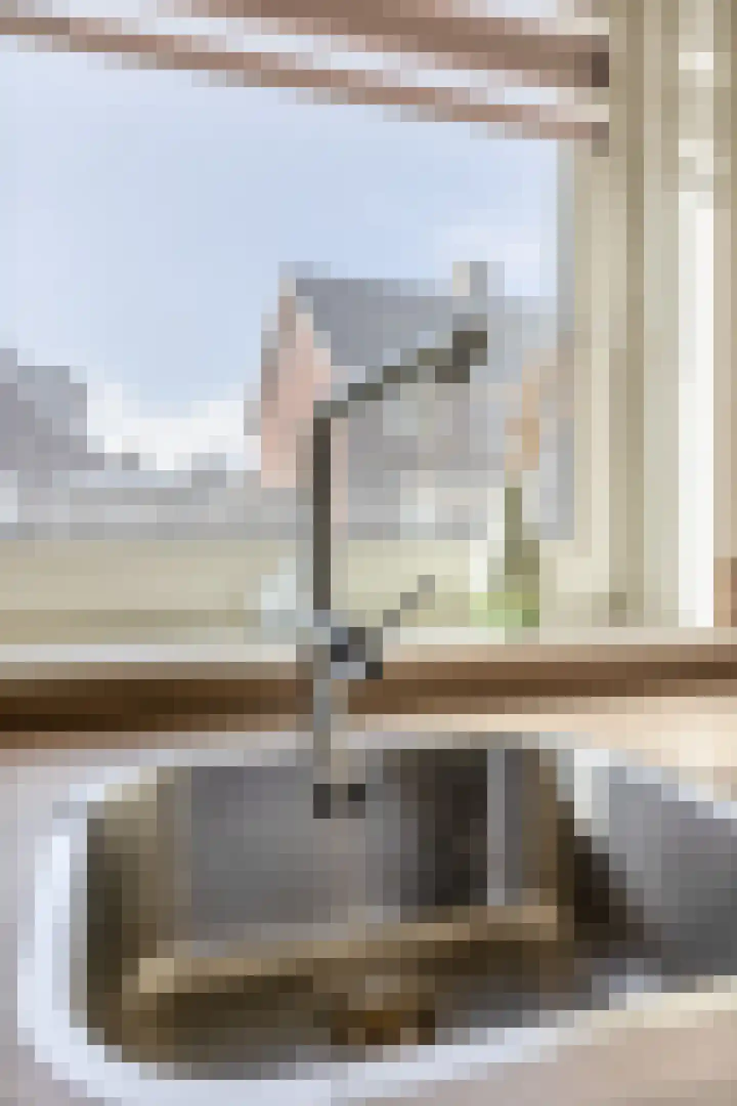 Kerkekkers 2 B Hulsel thumbnail 21