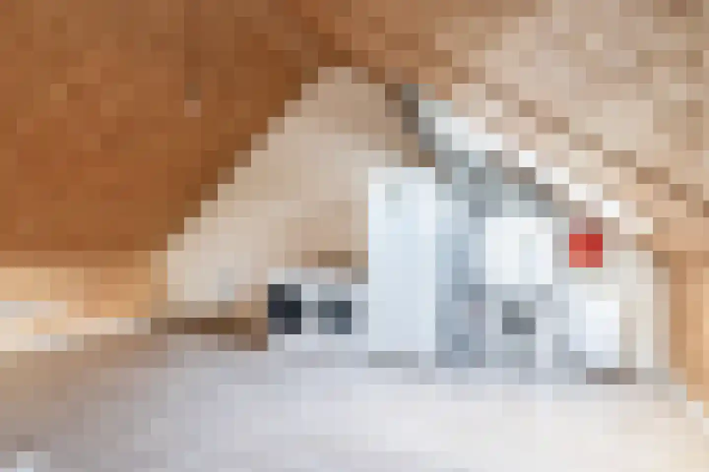 Kerkekkers 2 B Hulsel thumbnail 33