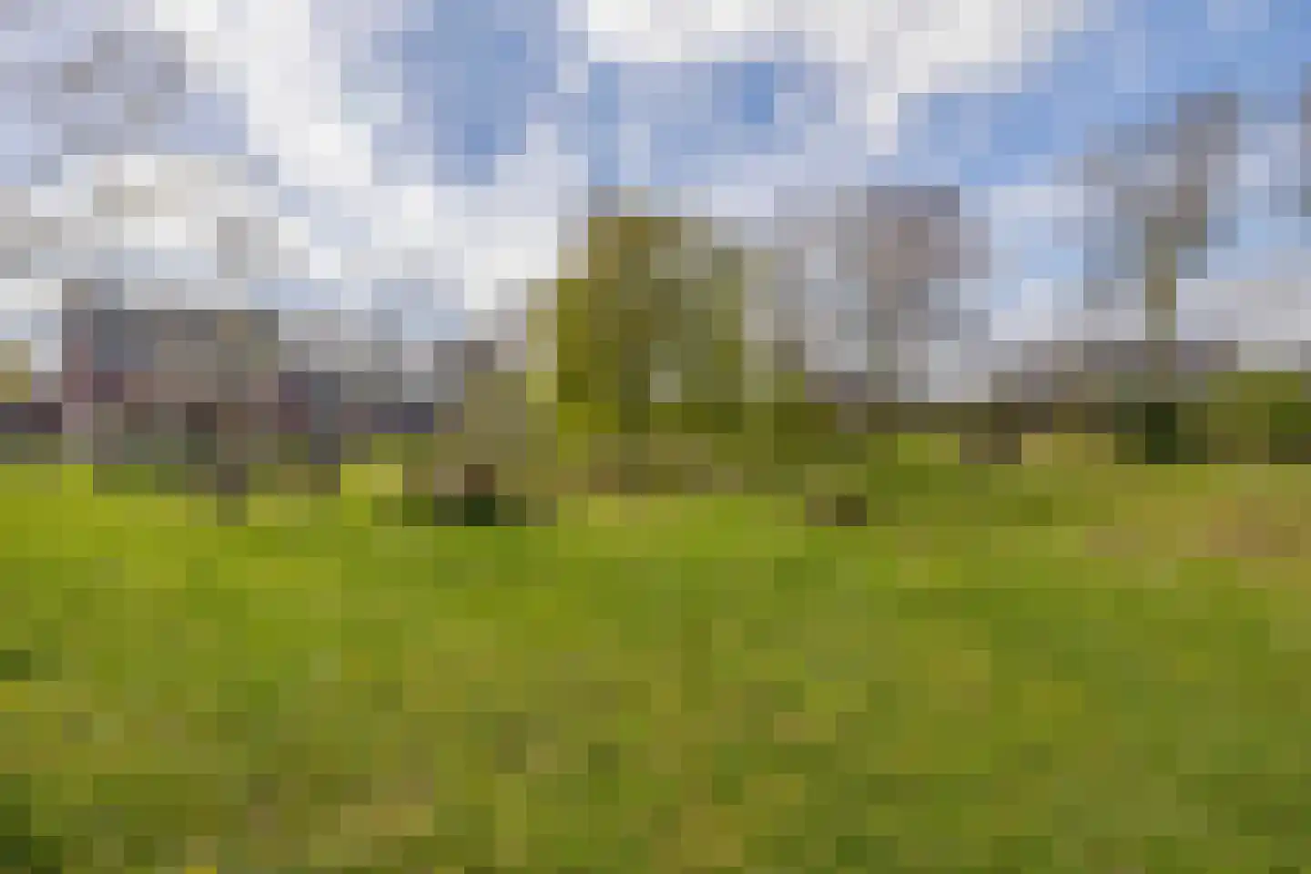 Kerkekkers 2 B Hulsel thumbnail 44