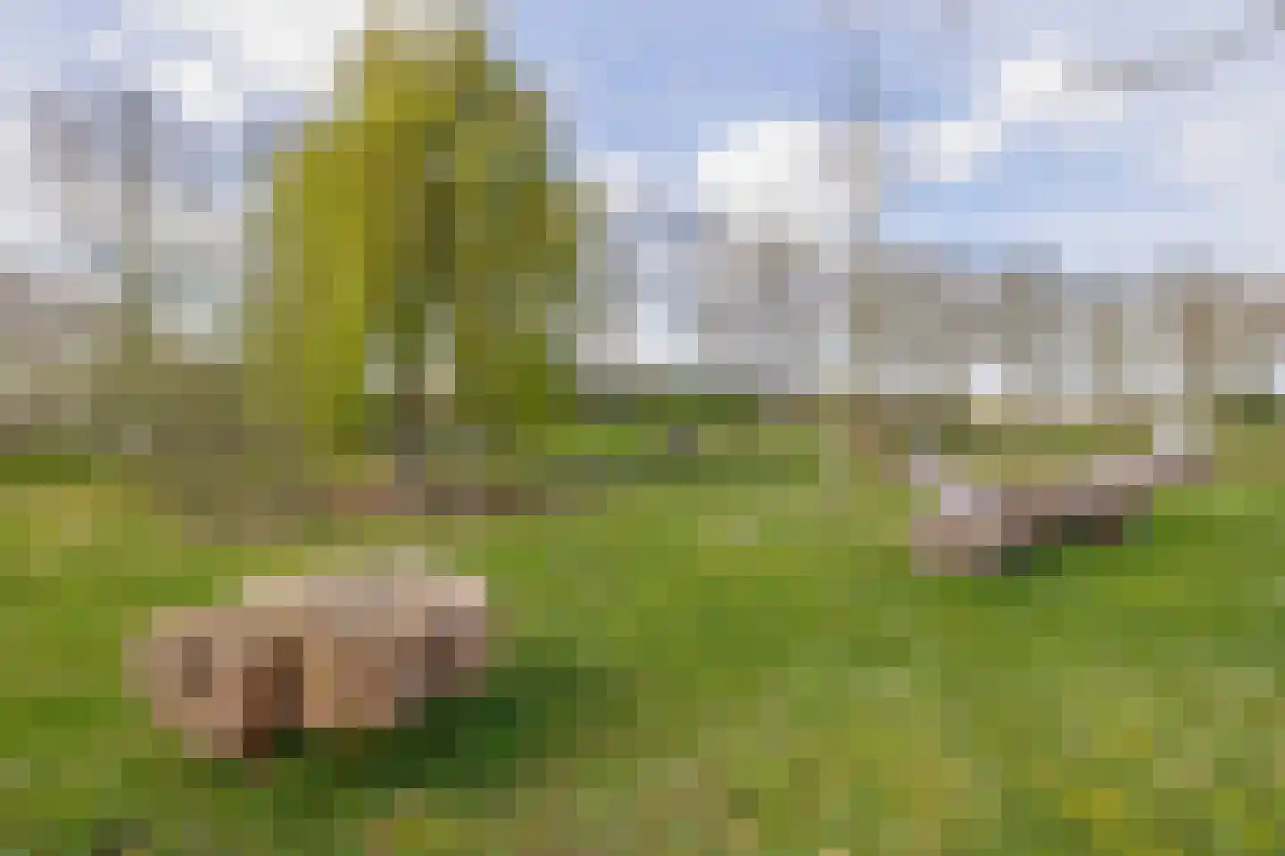 Kerkekkers 2 B Hulsel thumbnail 45
