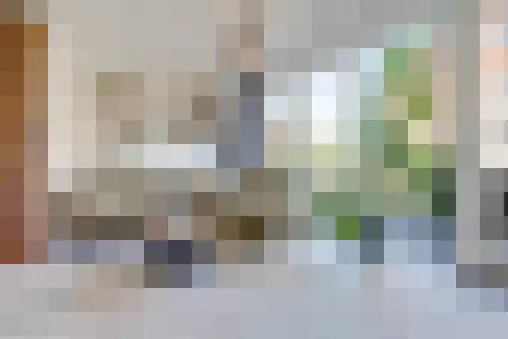 Kerkekkers 4 Hulsel thumbnail 14