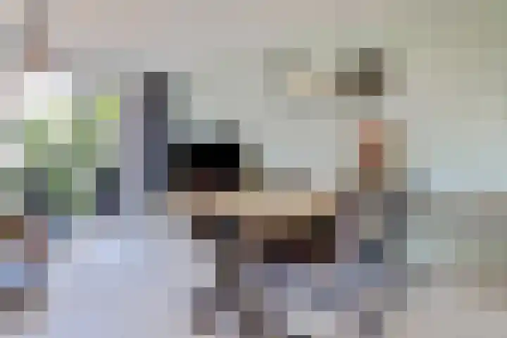 Kerkekkers 4 Hulsel thumbnail 16