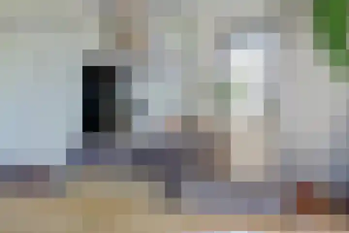 Kerkekkers 4 Hulsel thumbnail 18