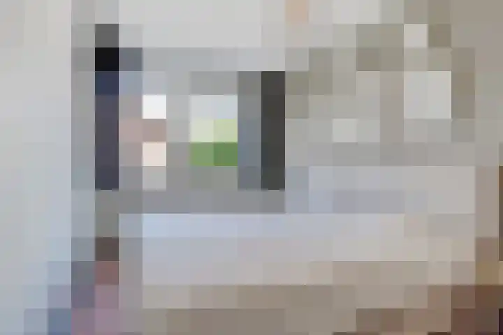 Kerkekkers 4 Hulsel thumbnail 25